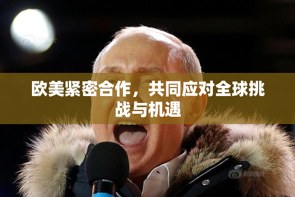 欧美紧密合作，共同应对全球挑战与机遇