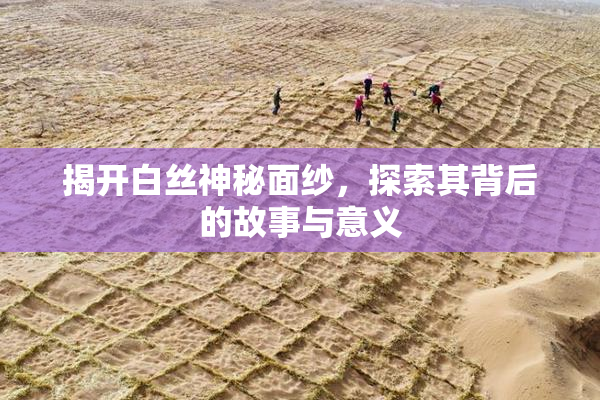 揭开白丝神秘面纱，探索其背后的故事与意义