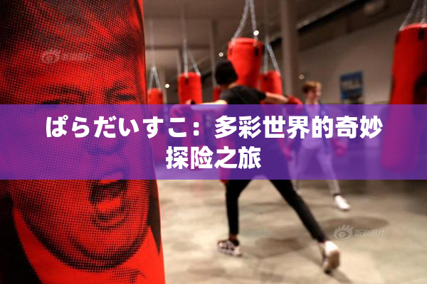 ぱらだいすこ：多彩世界的奇妙探险之旅