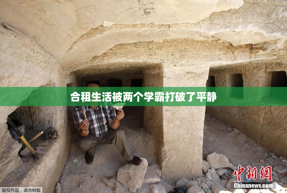合租生活被两个学霸打破了平静