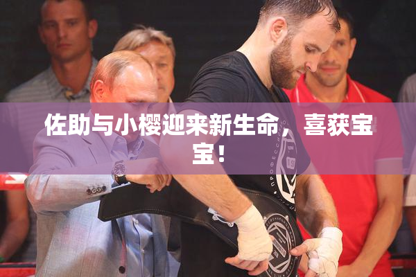佐助与小樱迎来新生命，喜获宝宝！