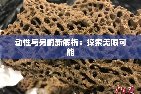 动性与另的新解析：探索无限可能