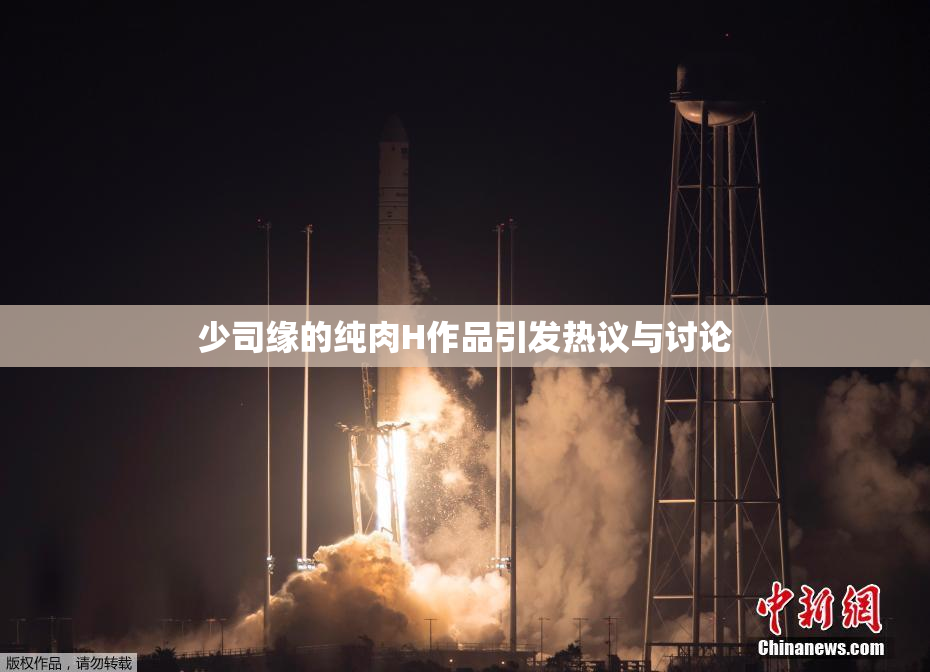 少司缘的纯肉H作品引发热议与讨论