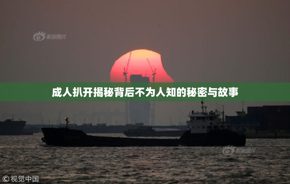 成人扒开揭秘背后不为人知的秘密与故事