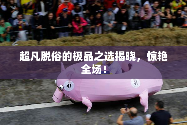 超凡脱俗的极品之选揭晓，惊艳全场！