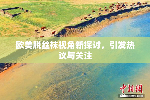 欧美脱丝袜视角新探讨，引发热议与关注