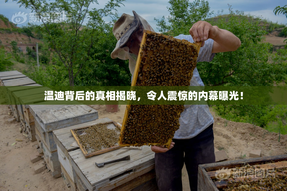 温迪背后的真相揭晓，令人震惊的内幕曝光！