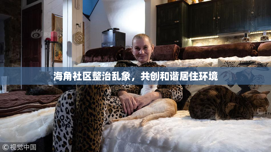 海角社区整治乱象，共创和谐居住环境