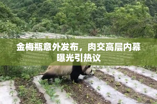 金梅瓶意外发布，肉交高层内幕曝光引热议