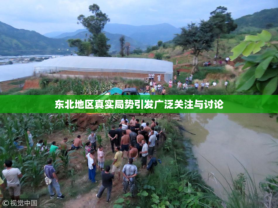 东北地区真实局势引发广泛关注与讨论