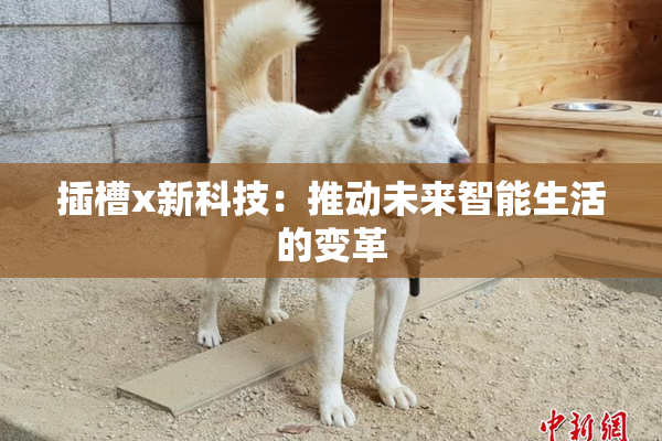 插槽x新科技：推动未来智能生活的变革