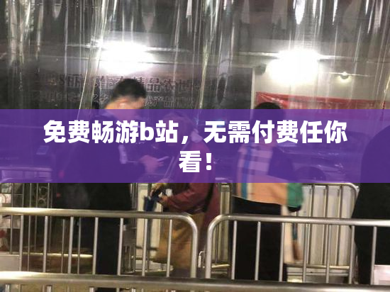 免费畅游b站，无需付费任你看！