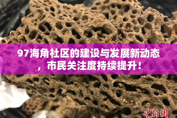 97海角社区的建设与发展新动态，市民关注度持续提升！