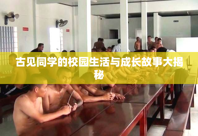古见同学的校园生活与成长故事大揭秘
