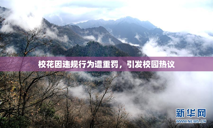 校花因违规行为遭重罚，引发校园热议