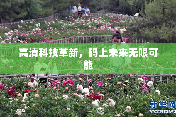 高清科技革新，码上未来无限可能