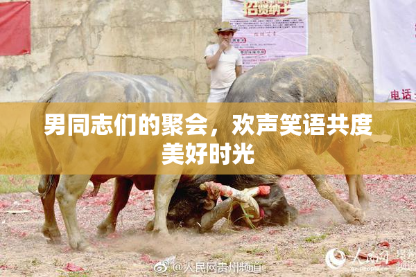 男同志们的聚会，欢声笑语共度美好时光