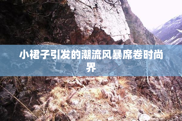 小裙子引发的潮流风暴席卷时尚界