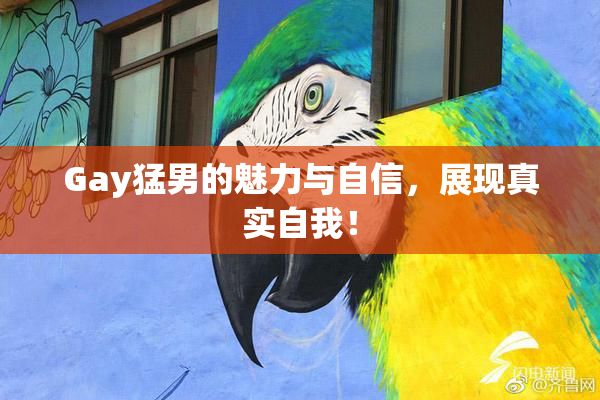 Gay猛男的魅力与自信，展现真实自我！