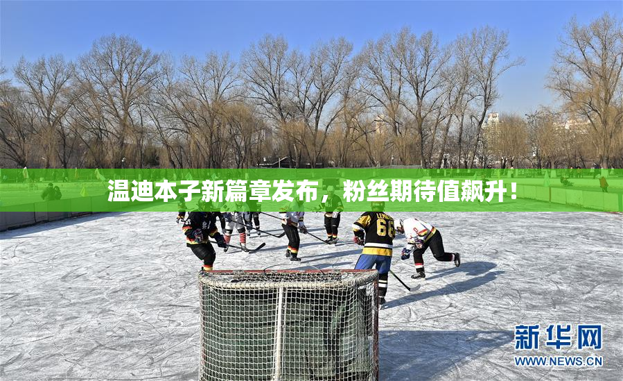 温迪本子新篇章发布，粉丝期待值飙升！