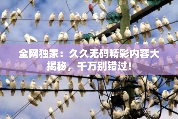 全网独家：久久无码精彩内容大揭秘，千万别错过！