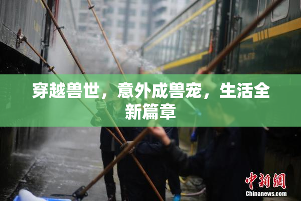 穿越兽世，意外成兽宠，生活全新篇章