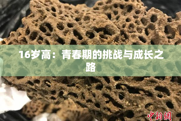16岁高：青春期的挑战与成长之路