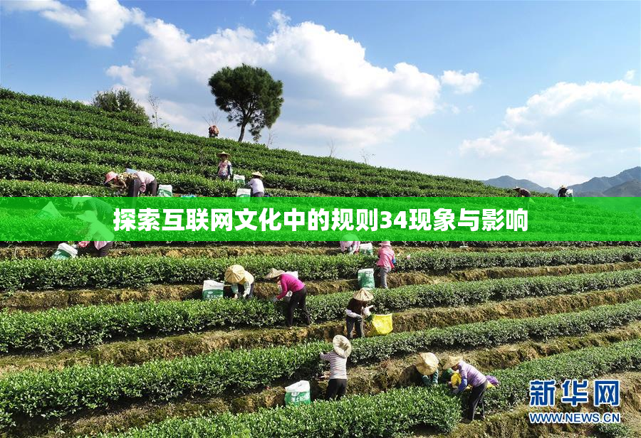 探索互联网文化中的规则34现象与影响