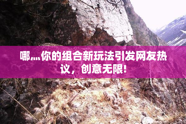 哪灬你的组合新玩法引发网友热议，创意无限!