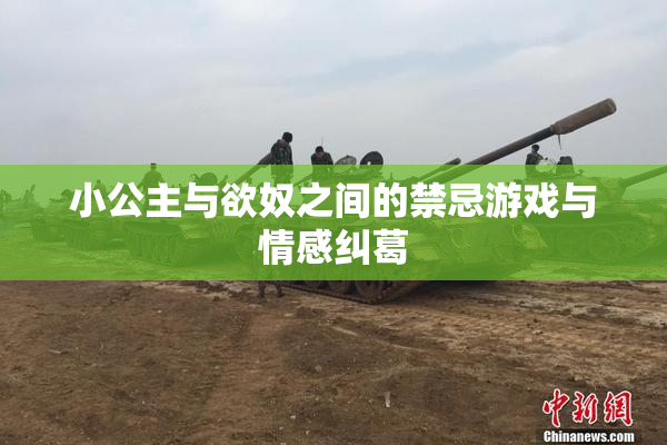 小公主与欲奴之间的禁忌游戏与情感纠葛