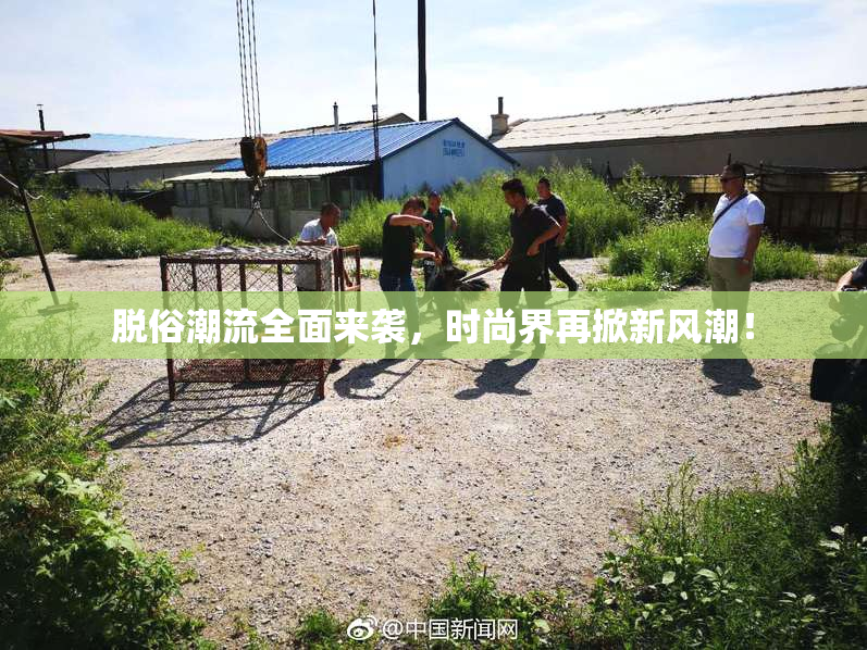 脱俗潮流全面来袭，时尚界再掀新风潮！