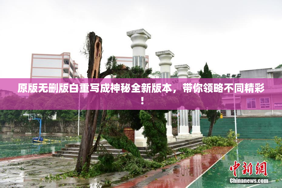 原版无删版白重写成神秘全新版本，带你领略不同精彩！