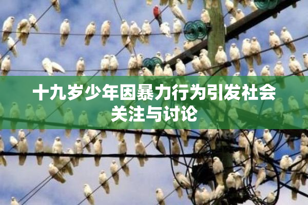 十九岁少年因暴力行为引发社会关注与讨论