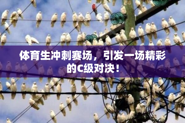 体育生冲刺赛场，引发一场精彩的C级对决！