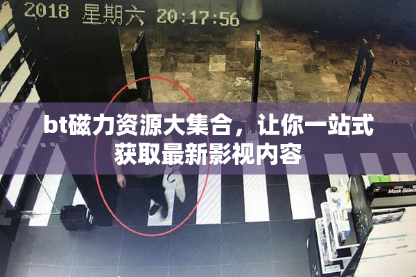 bt磁力资源大集合，让你一站式获取最新影视内容
