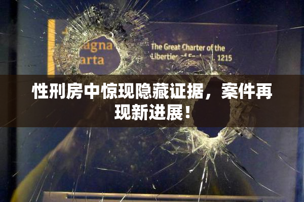 性刑房中惊现隐藏证据，案件再现新进展！