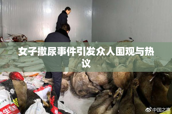 女子撒尿事件引发众人围观与热议
