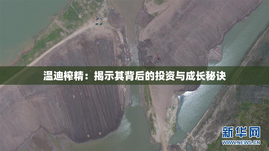 温迪榨精：揭示其背后的投资与成长秘诀