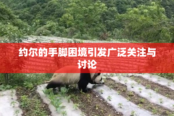 约尔的手脚困境引发广泛关注与讨论