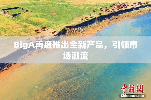 BigA再度推出全新产品，引领市场潮流