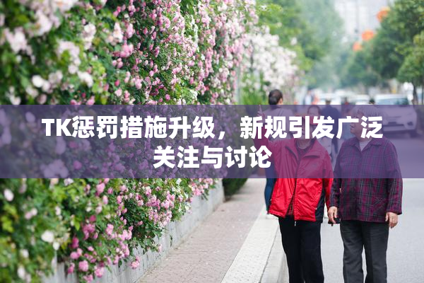 TK惩罚措施升级，新规引发广泛关注与讨论