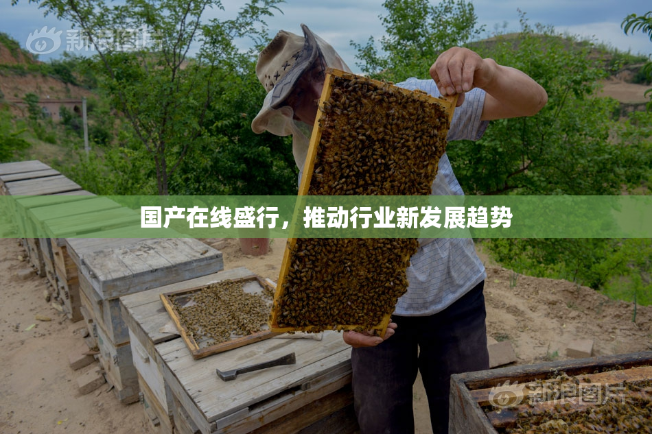 国产在线盛行，推动行业新发展趋势
