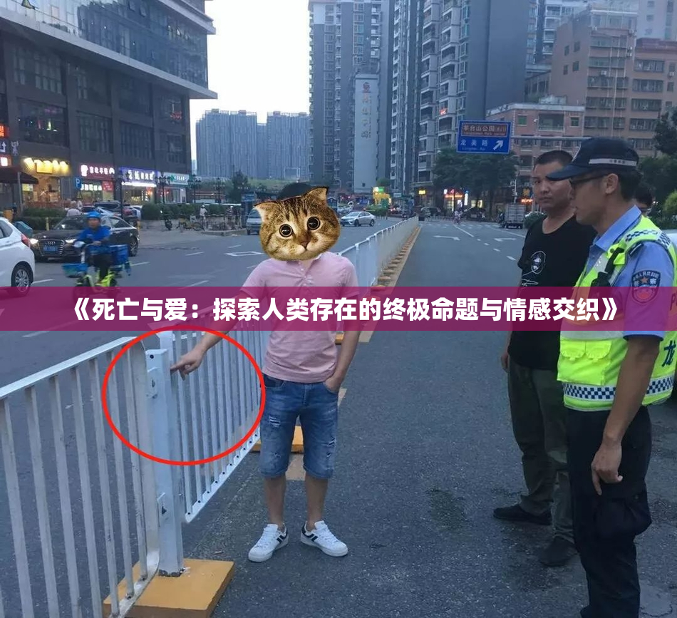 《死亡与爱：探索人类存在的终极命题与情感交织》
