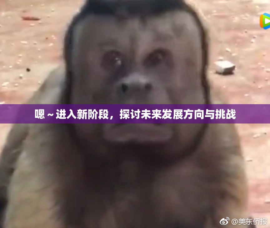嗯～进入新阶段，探讨未来发展方向与挑战