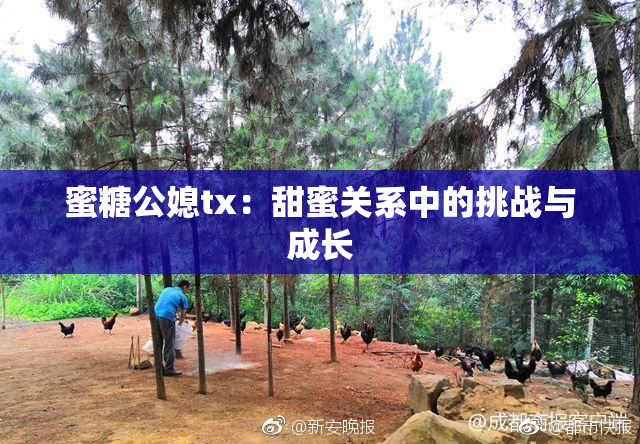 蜜糖公媳tx：甜蜜关系中的挑战与成长