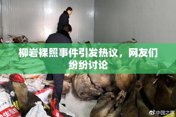 柳岩裸照事件引发热议，网友们纷纷讨论