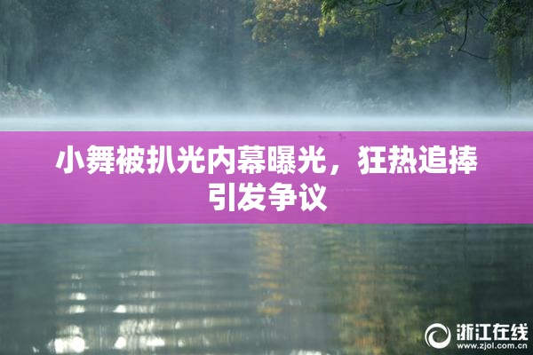 小舞被扒光内幕曝光，狂热追捧引发争议