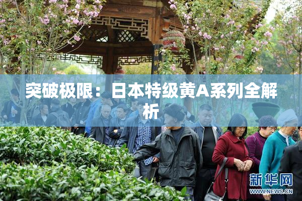 突破极限：日本特级黄A系列全解析