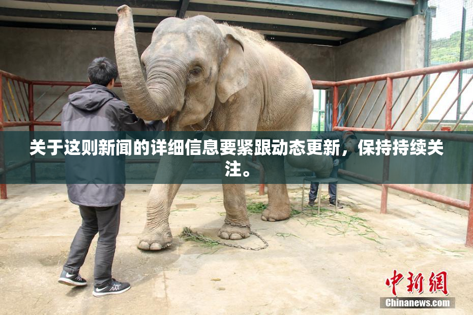 关于这则新闻的详细信息要紧跟动态更新，保持持续关注。