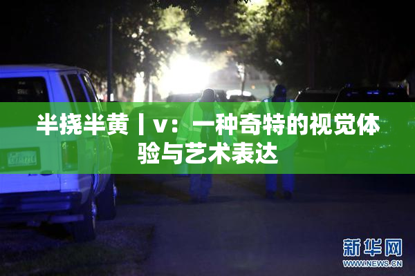 半挠半黄丨v：一种奇特的视觉体验与艺术表达